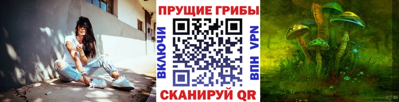 Псилоцибиновые грибы мицелий  MEGA зеркало  Славск 